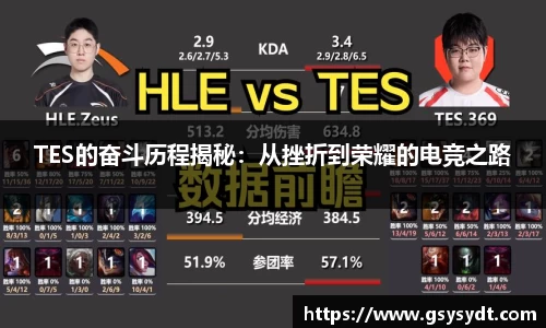 TES的奋斗历程揭秘：从挫折到荣耀的电竞之路