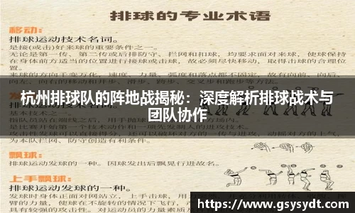 杭州排球队的阵地战揭秘：深度解析排球战术与团队协作