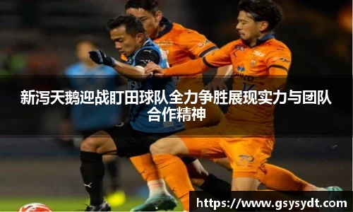 金年会金字招牌
